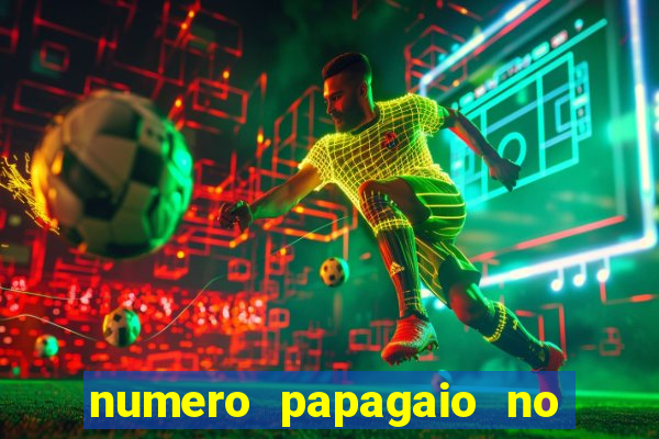 numero papagaio no jogo do bicho